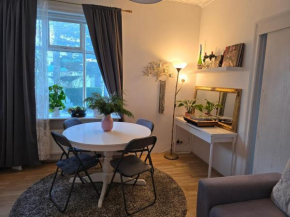 Cozy corner Reykjavik apartment